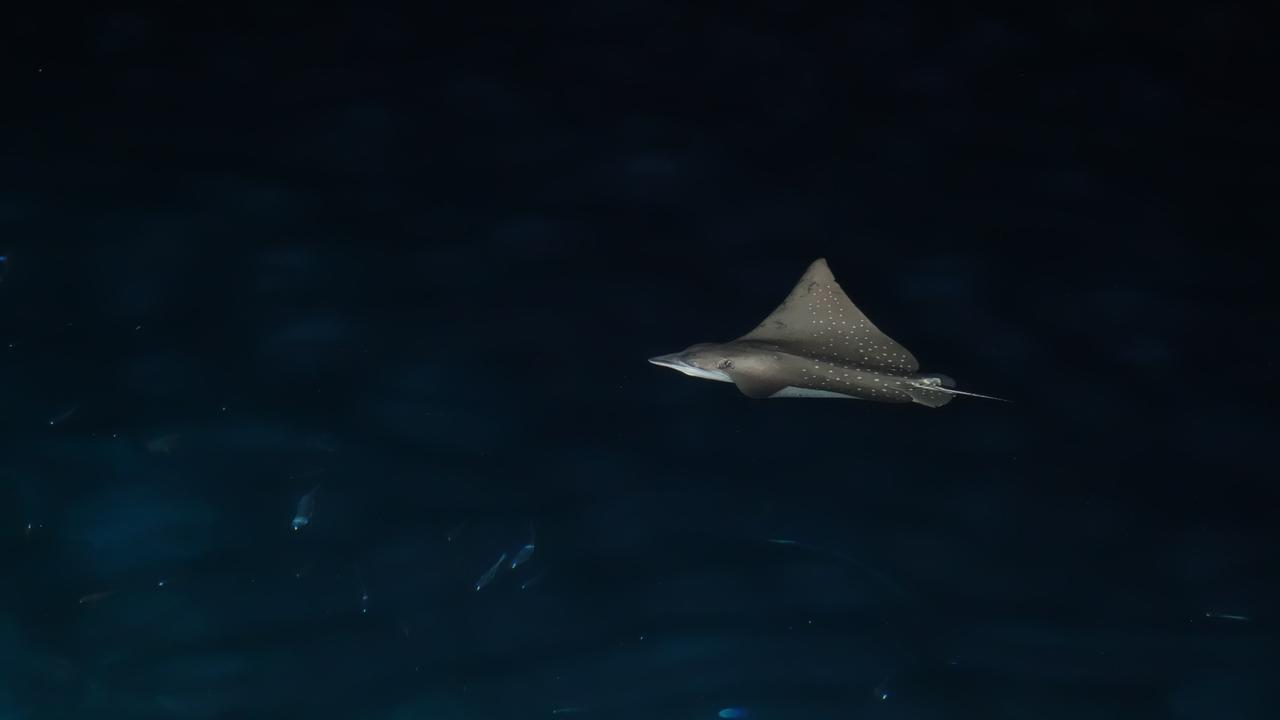 Ocean Beach Maldive Hotell Maldives Eksteriør bilde